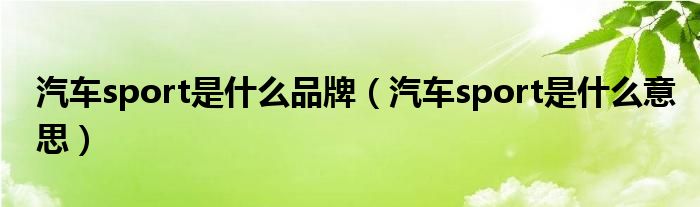 汽车sport是什么品牌(汽车sport是什么意思)