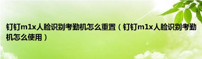 钉钉m1x人脸识别考勤机怎么重置(钉钉m1x人脸识别考勤机怎么使用)