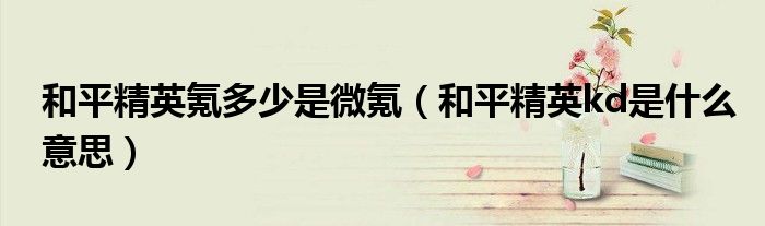 和平精英氪多少是微氪(和平精英kd是什么意思)
