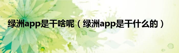 绿洲app是干啥呢(绿洲app是干什么的)