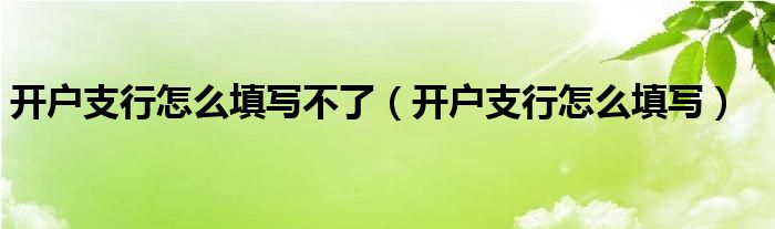 开户支行怎么填写不了(开户支行怎么填写)