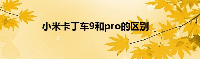 小米卡丁车9和pro的区别