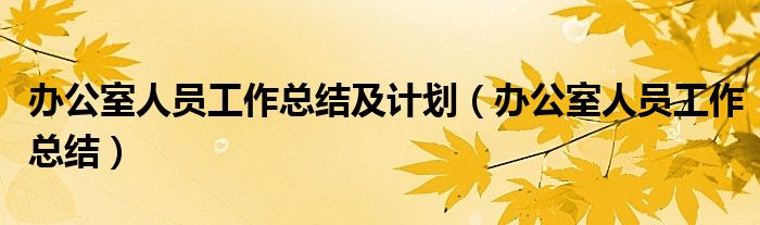 办公室人员工作总结及计划(办公室人员工作总结)