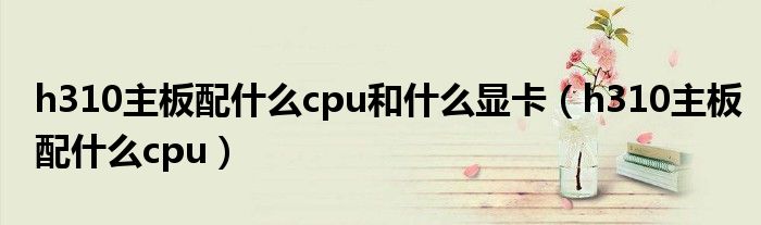 h310主板配什么cpu和什么显卡(h310主板配什么cpu)