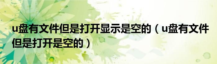 u盘有文件但是打开显示是空的(u盘有文件但是打开是空的)