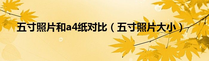 五寸照片和a4纸对比(五寸照片大小)