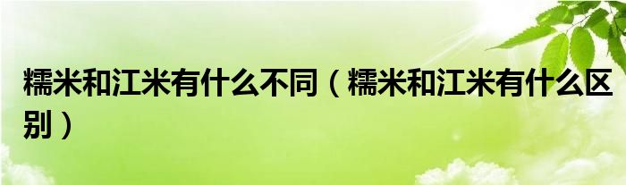 糯米和江米有什么不同(糯米和江米有什么区别)