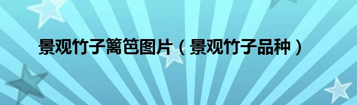 景观竹子篱笆图片(景观竹子品种)