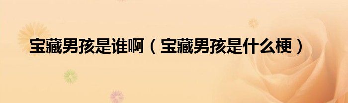 宝藏男孩是谁啊(宝藏男孩是什么梗)