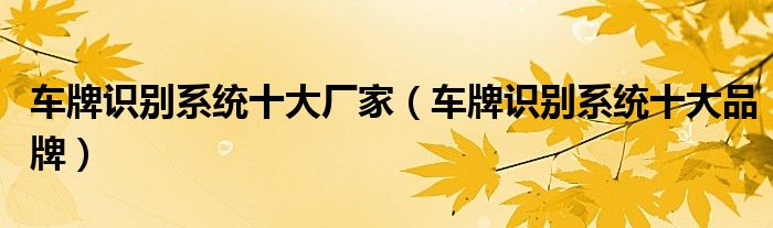 车牌识别系统十大厂家(车牌识别系统十大品牌)