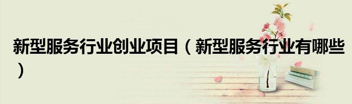 新型服务行业创业项目(新型服务行业有哪些)