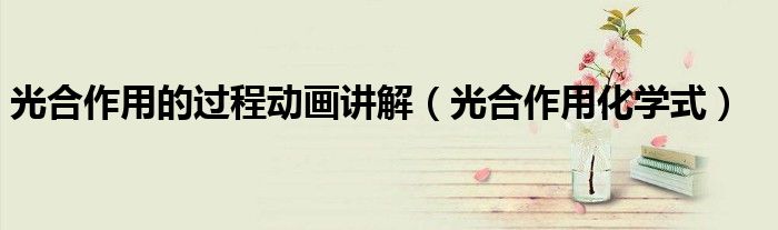 光合作用的过程动画讲解(光合作用化学式)
