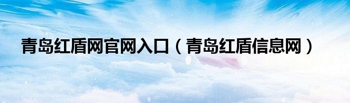 青岛红盾网官网入口(青岛红盾信息网)