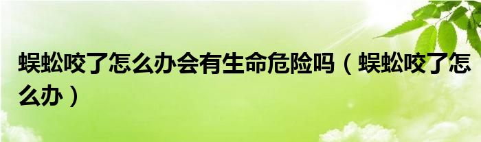 蜈蚣咬了怎么办会有生命危险吗(蜈蚣咬了怎么办)