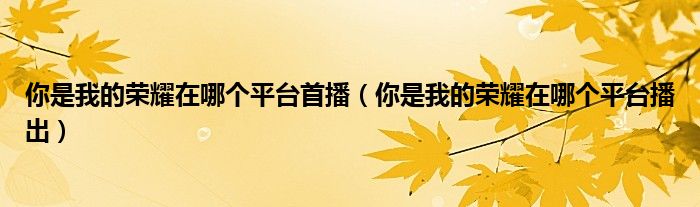 你是我的荣耀在哪个平台首播(你是我的荣耀在哪个平台播出)