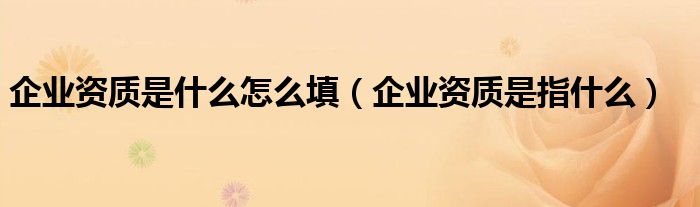 企业资质是什么怎么填(企业资质是指什么)