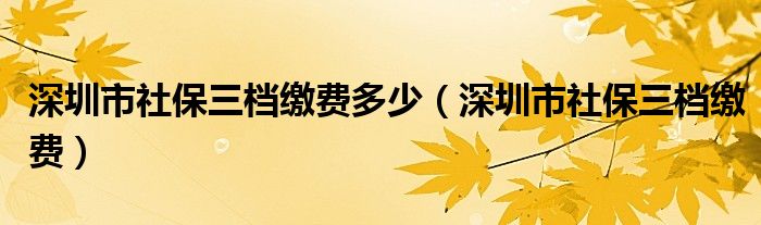 深圳市社保三档缴费多少(深圳市社保三档缴费)