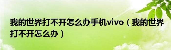 我的世界打不开怎么办手机vivo(我的世界打不开怎么办)
