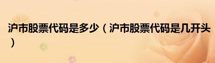 沪市股票代码是多少(沪市股票代码是几开头)