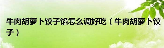 牛肉胡萝卜饺子馅怎么调好吃(牛肉胡萝卜饺子)