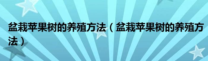 盆栽苹果树的养殖方法(盆栽苹果树的养殖方法)