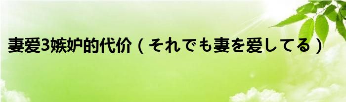 妻爱3嫉妒的代价(それでも妻を爱してる)