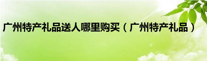 广州特产礼品送人哪里购买(广州特产礼品)