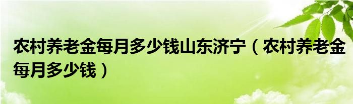 农村养老金每月多少钱山东济宁（农村养老金每月多少钱）