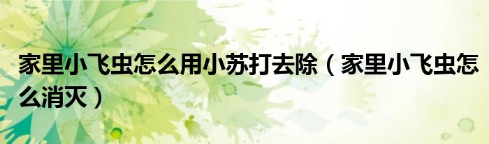 家里小飞虫怎么用小苏打去除(家里小飞虫怎么消灭)