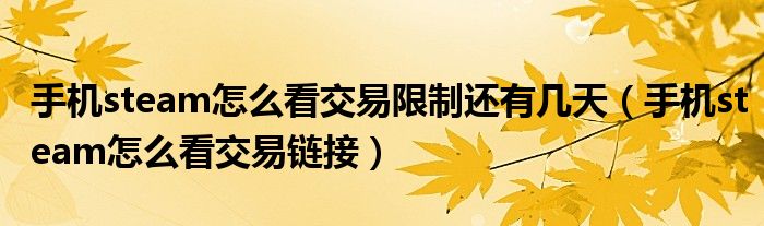 手机steam怎么看交易限制还有几天(手机steam怎么看交易链接)