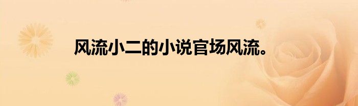 风流小二的小说官场风流。