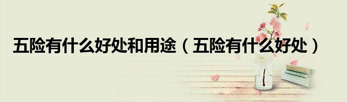 五险有什么好处和用途(五险有什么好处)