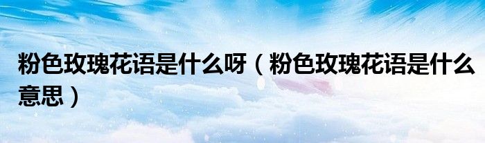 粉色玫瑰花语是什么呀(粉色玫瑰花语是什么意思)