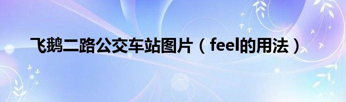 飞鹅二路公交车站图片(feel的用法)