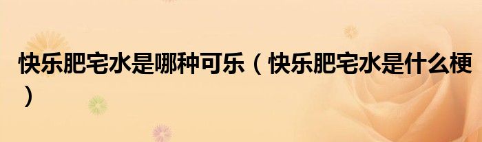 快乐肥宅水是哪种可乐(快乐肥宅水是什么梗)