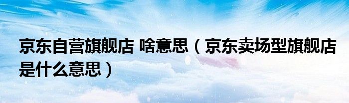 京东自营旗舰店 啥意思(京东卖场型旗舰店是什么意思)