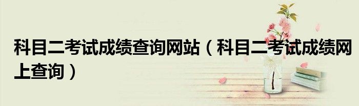 科目二考试成绩查询网站(科目二考试成绩网上查询)