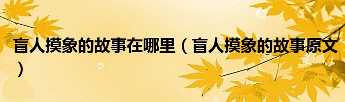 盲人摸象的故事在哪里(盲人摸象的故事原文)