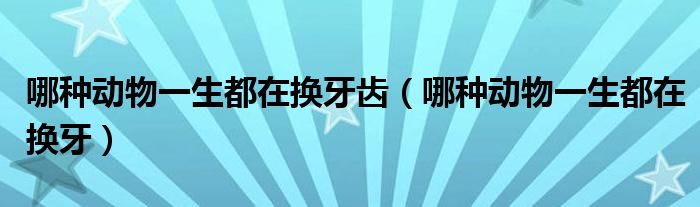 哪种动物一生都在换牙齿（哪种动物一生都在换牙）