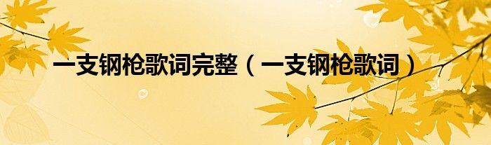 一支钢枪歌词完整(一支钢枪歌词)