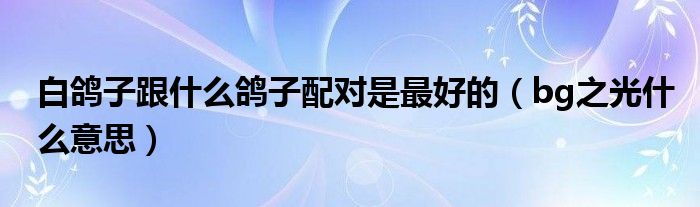 白鸽子跟什么鸽子配对是最好的(bg之光什么意思)