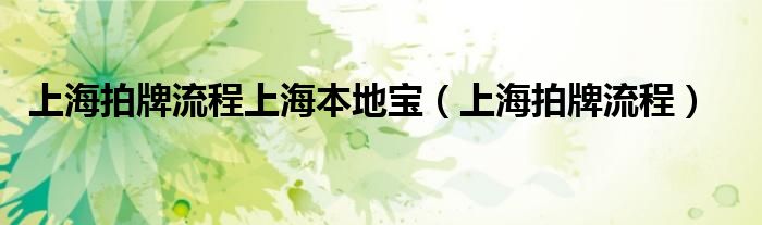 上海拍牌流程上海本地宝(上海拍牌流程)
