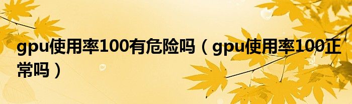 gpu使用率100有危险吗(gpu使用率100正常吗)