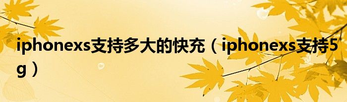 iphonexs支持多大的快充(iphonexs支持5g)