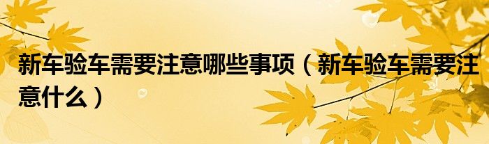 新车验车需要注意哪些事项(新车验车需要注意什么)