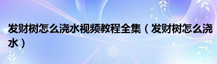 发财树怎么浇水视频教程全集（发财树怎么浇水）