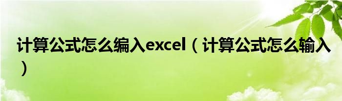 计算公式怎么编入excel(计算公式怎么输入)