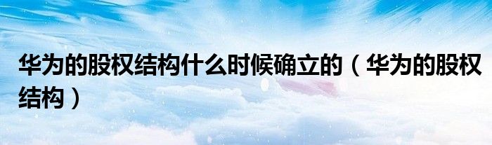 华为的股权结构什么时候确立的(华为的股权结构)