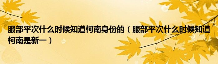 服部平次什么时候知道柯南身份的(服部平次什么时候知道柯南是新一)