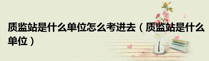 质监站是什么单位怎么考进去(质监站是什么单位)